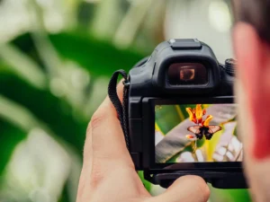 What image quality does an SLR camera have?