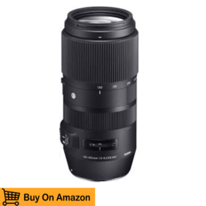 Sigma 100-400mm