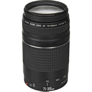 Canon EF 75-300mm